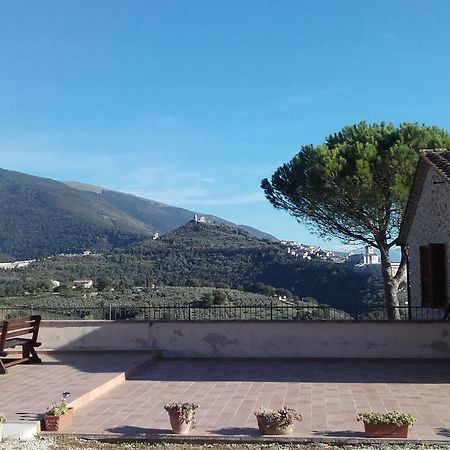 B&B Colle San Francesco Assisi Buitenkant foto