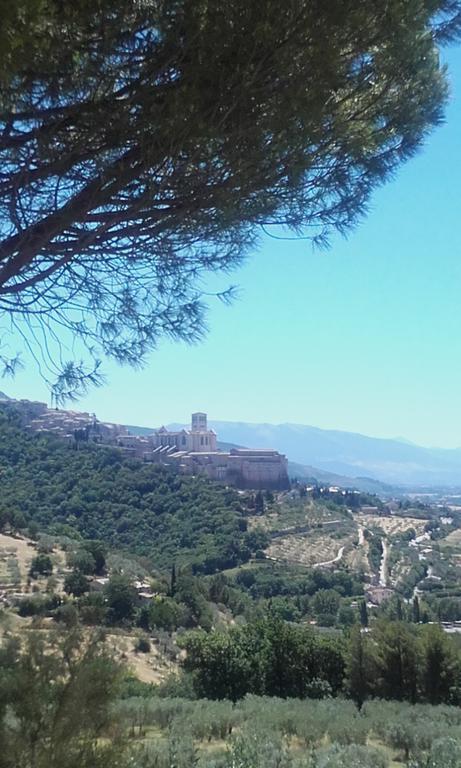 B&B Colle San Francesco Assisi Buitenkant foto