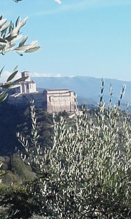 B&B Colle San Francesco Assisi Buitenkant foto